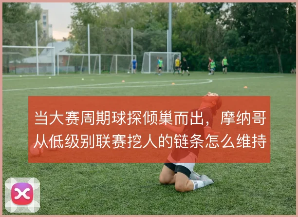 当大赛周期球探倾巢而出，摩纳哥从低级别联赛挖人的链条怎么维持